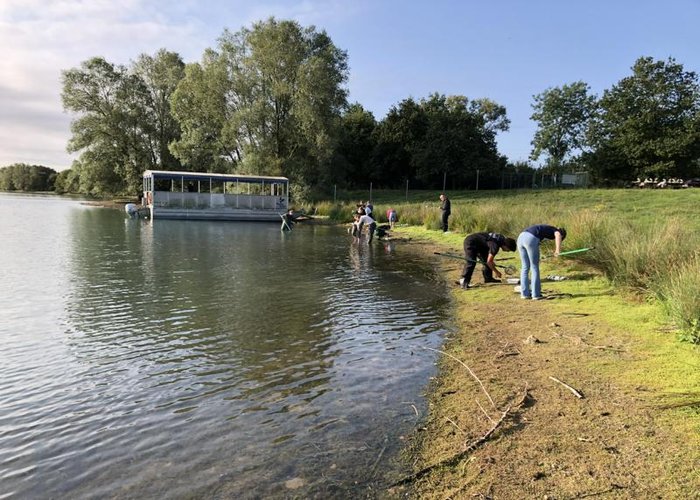 Untersuchung des Ökosystems Baggersee